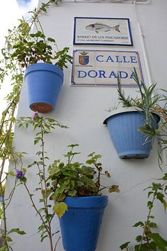 Pots de fleurs bleus mur blanc quartier de la pêche Conil de La Frontera sur My Footprints