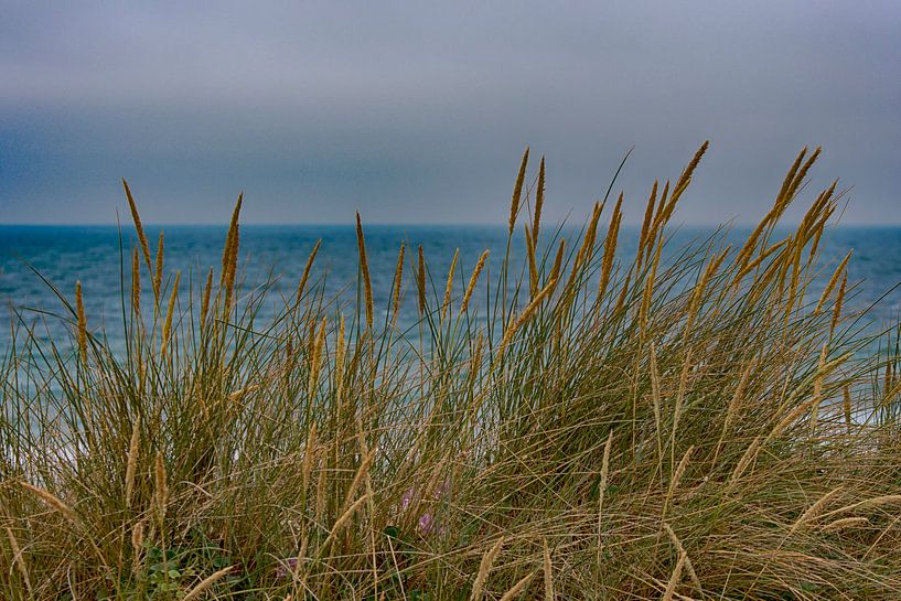 Dunes et plage de Surtainville par Peter Bartelings