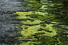 Sea dyke in Harlingen by Martin Rijpstra