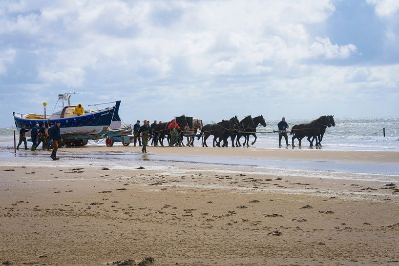 Paardenreddingsboot Ameland van Marjan Noteboom