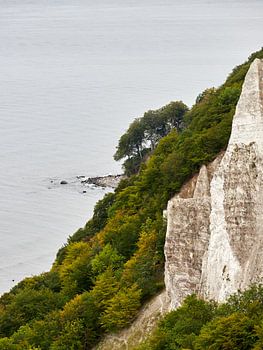 Verstecktes Juwel an den Kreidefelsen, Rügen