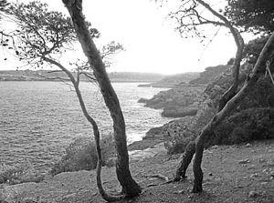 mediterra(i)n
