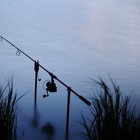 Fishing rod photo in the evening by Armin Wolf