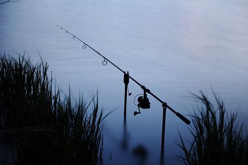 Fishing rod photo in the evening