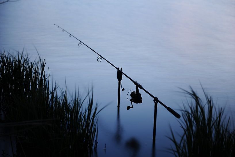 Fishing rod photo in the evening by Armin Wolf