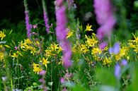 Mooi landschap van bloemen van Myrte Wilms thumbnail