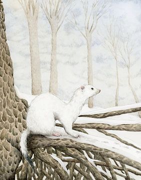 Ode to the stoat by Marieke Nelissen