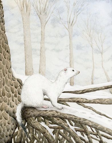 Ode aan de hermelijn