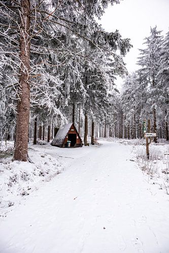 Korte winterwandeling in het besneeuwde Thüringer Woud bij Floh-Seligenthal - Thüringen - Duitsland