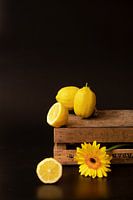 Lemon box or box of lemons