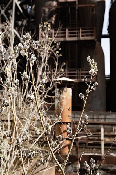 old chimney by Shamilla Roeffen Lute