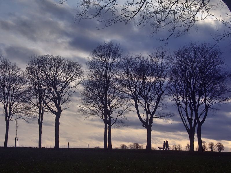 Bomen 11 van Edgar Schermaul