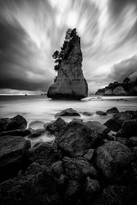 Cathedral cove in black and white by Michael Bollen