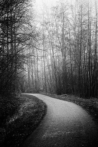 Verlaten wandelpad tussen de bomen (zwart-wit) van Fotografie Jeronimo
