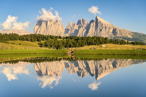 Summer evening on the Alpe di Siusi