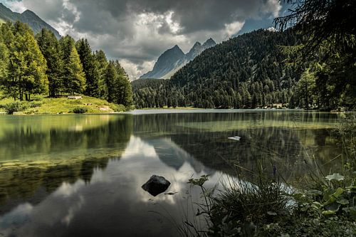 Reflectie van de bergen in het water