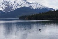 Maligne Lake BC Canada