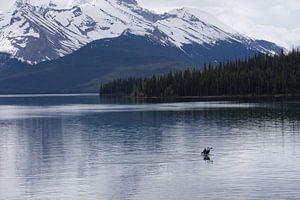 Maligne Lake BC Canada