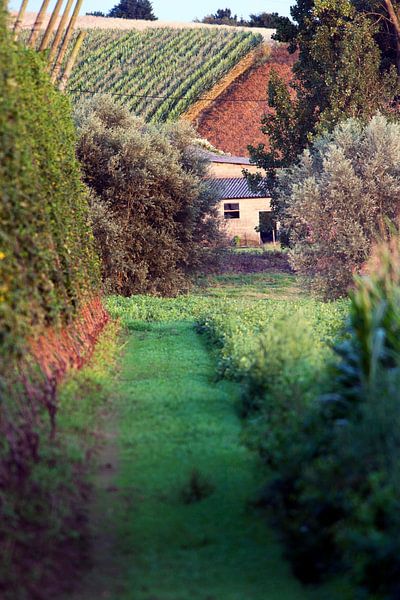 Malerische Landwirtschaft in Nordfrankreich von Peter de Kievith Fotografie