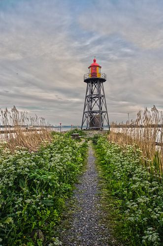 Lichtopstand Strijensas