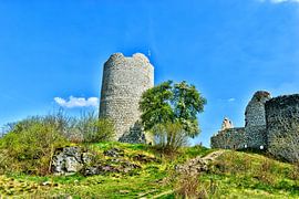 Burgruine Kallmünz von Roith Fotografie