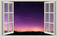 Thoughtful night window