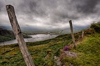 old fence, Ireland by Bas Wolfs thumbnail