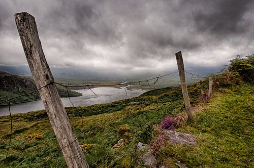 old fence, Ireland