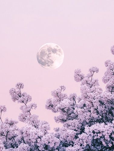 Mondlicht und Blüten