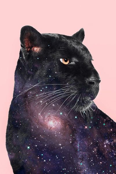 Galaxy Panther von Jonas Loose