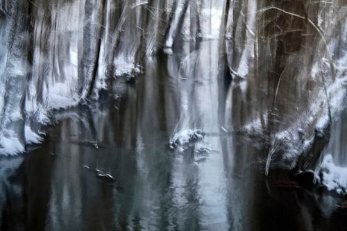 Photographie abstraite - Morceau de forêt en hiver