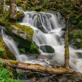 Waterfall in a forest by Menno van der Haven