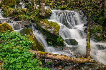 Chute d'eau dans une forêt sur Menno van der Haven