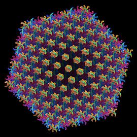 Chamäleon-Metamorphose IV von Tis Veugen