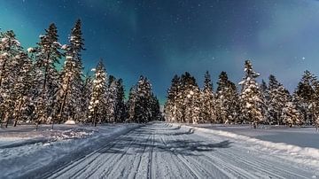 Northern Lights by Ferdinand Mul