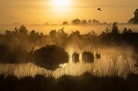Morning mist above the Engbertsdijksvenen. by Ron Poot thumbnail
