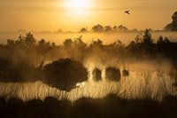 Morning mist above the Engbertsdijksvenen.