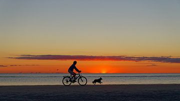 Fietser met hond aan strand