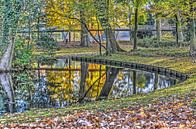 Herbst im Museumpark von Frans Blok - Fotos, Kunst und weitere Wanddekoration Miniaturansicht