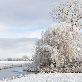 Dutch winter landscape by Willy Sybesma