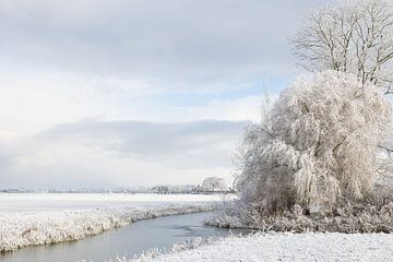 Nederlands Winterlandschap van Willy Sybesma