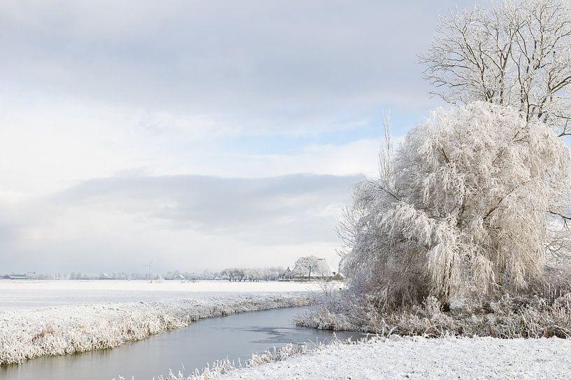 Dutch winter landscape by Willy Sybesma
