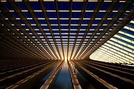 Guillemisiert von Frank Quax