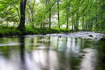 Au bord de la petite rivière Eyach sur Monika Scheurer