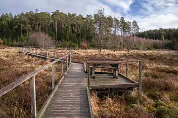 North Eifel, North Rhine-Westphalia, Germany by Alexander Ludwig