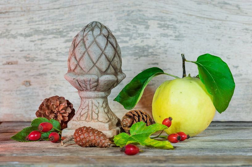 Herfststilleven met voedsel, kweepeer fruit, rode rozenbottels, bladeren van Alex Winter