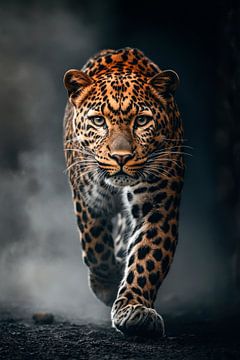 Luipaard van Poster Art Shop