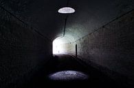Spotlight in de tunnel van Devin Meijer thumbnail