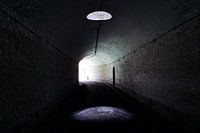 Spotlight in the tunnel