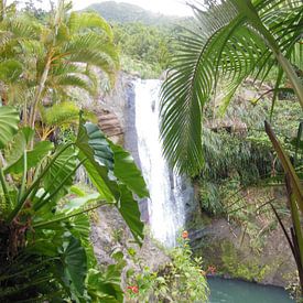 Waterval in jungle van St Lucia von Ricky Mc Cracken